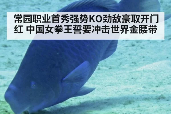 常园职业首秀强势KO劲敌豪取开门红 中国女拳王誓要冲击世界金腰带
