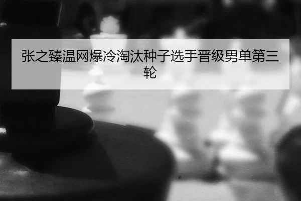 张之臻温网爆冷淘汰种子选手晋级男单第三轮